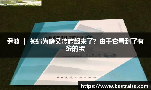 尹波 ｜ 苍蝇为啥又哼哼起来了？由于它看到了有缝的蛋